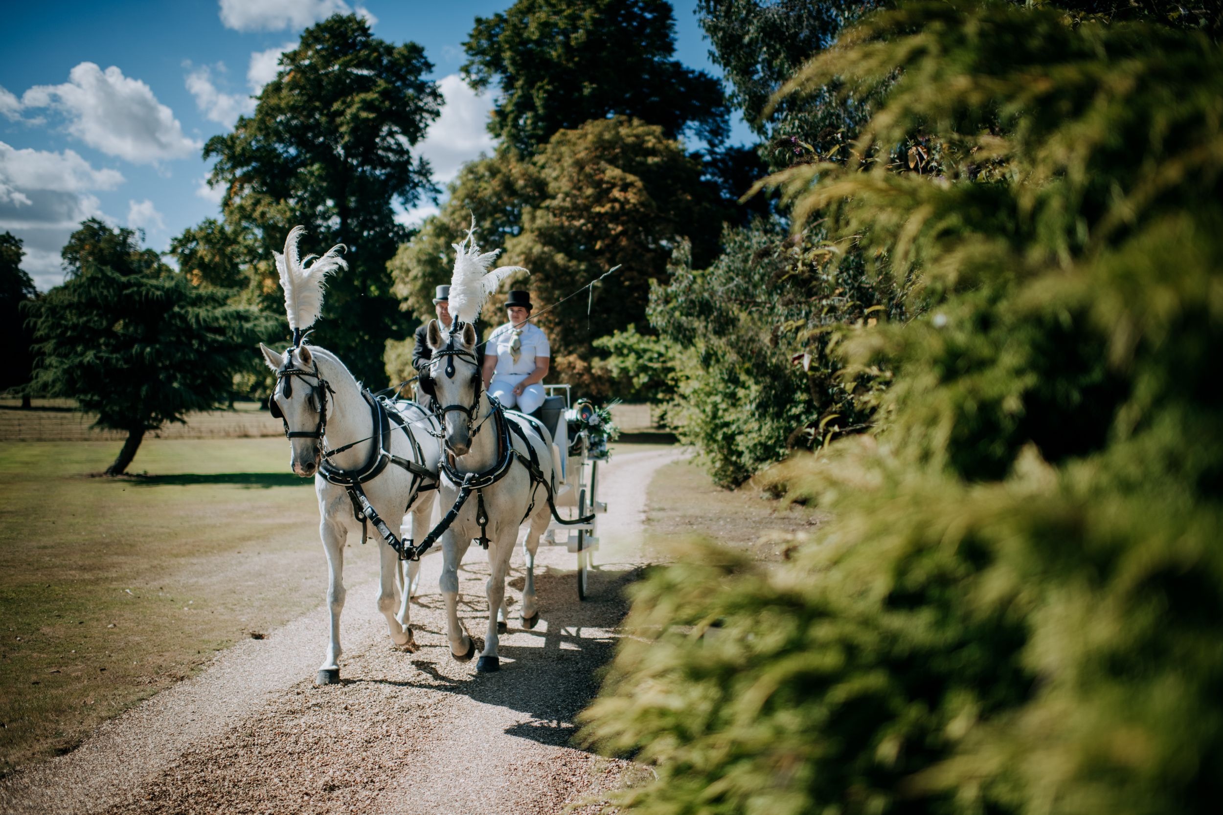 Horse and carriage arrival at Rise Hall wedding venue