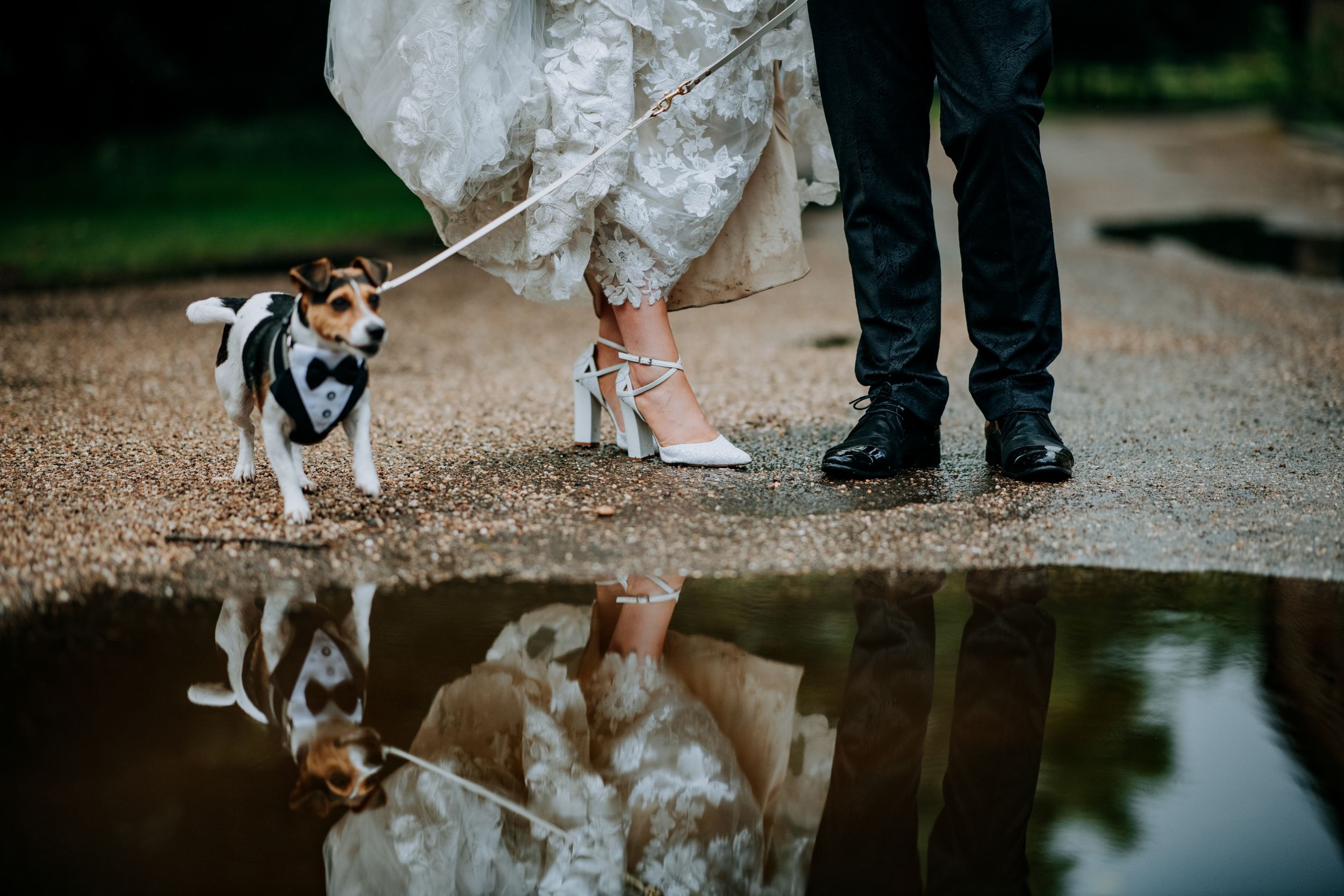 Bride and groom reflection portrait at Wootton Hall wedding
